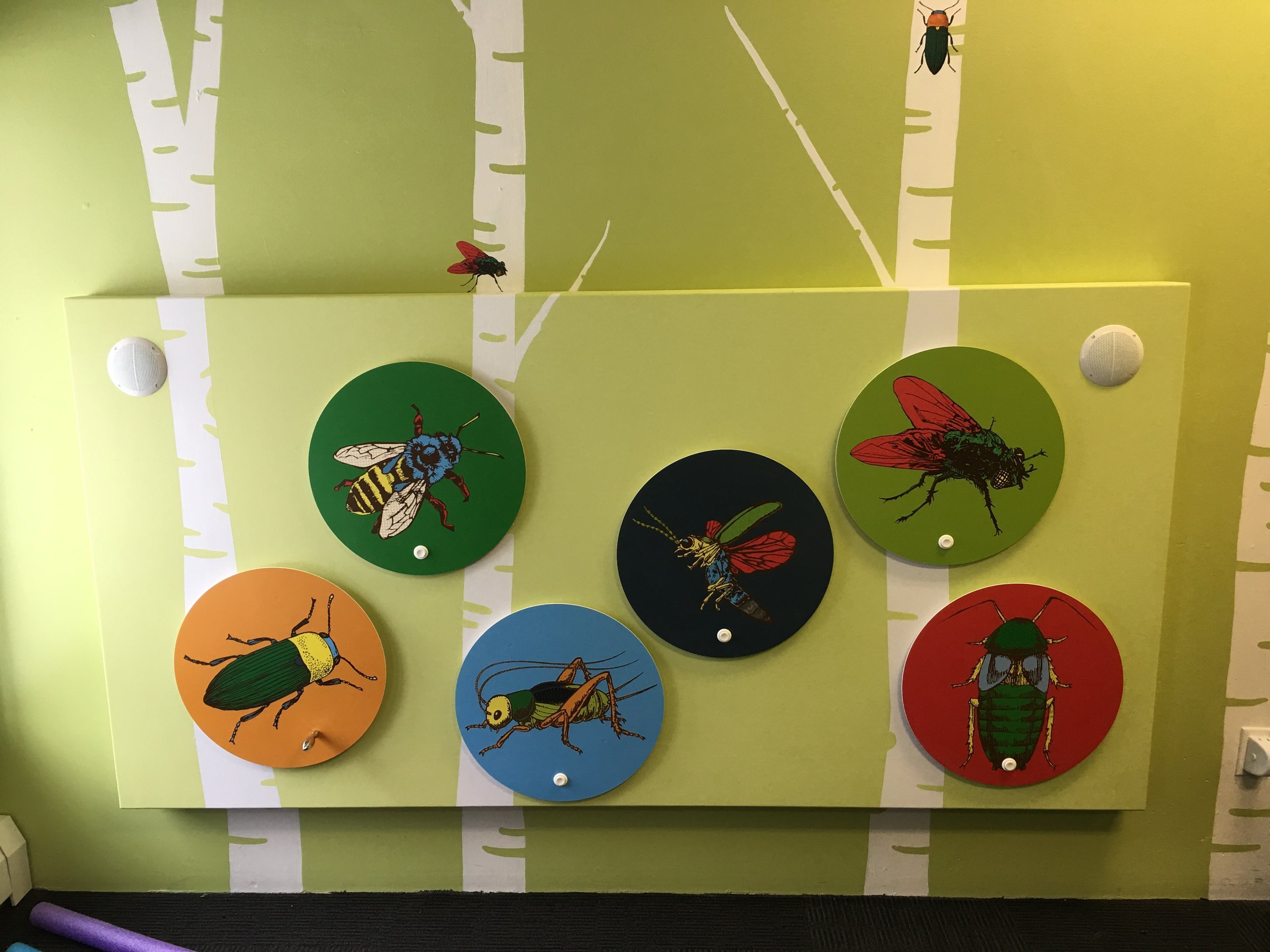 🦋 이타미시 곤충관 (이타미시 콘추칸) 이미지 10